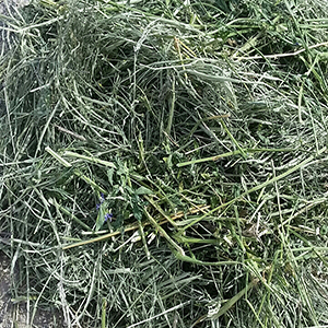Baled Hay & Cubes | Las Vegas Hay For Sale | Horse Feed & Bedding ...